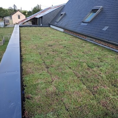 Pose d’un toit végétal par un particulier en France