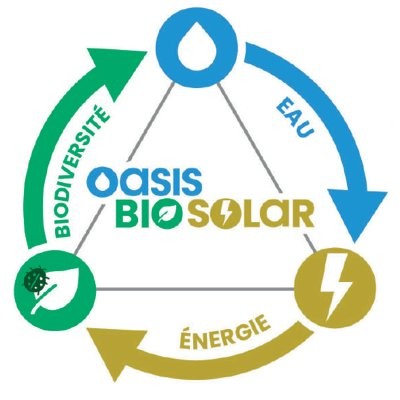 Allier toiture végétale et panneaux solaires en Belgique